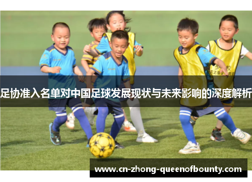 足协准入名单对中国足球发展现状与未来影响的深度解析