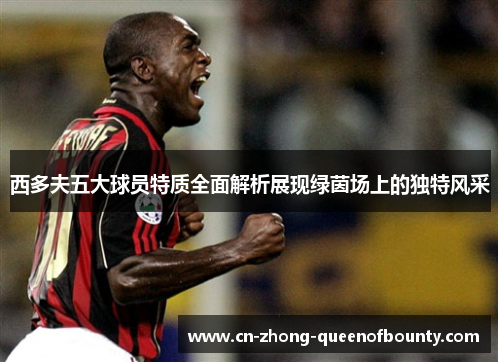 西多夫五大球员特质全面解析展现绿茵场上的独特风采