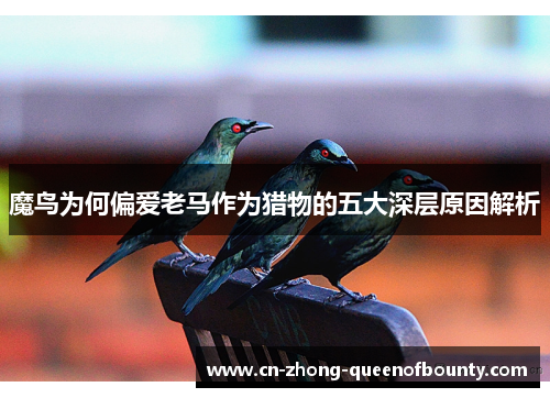 魔鸟为何偏爱老马作为猎物的五大深层原因解析